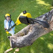 Best Lawn Drainage Solutions  in Ashton Sandy Spring, MD