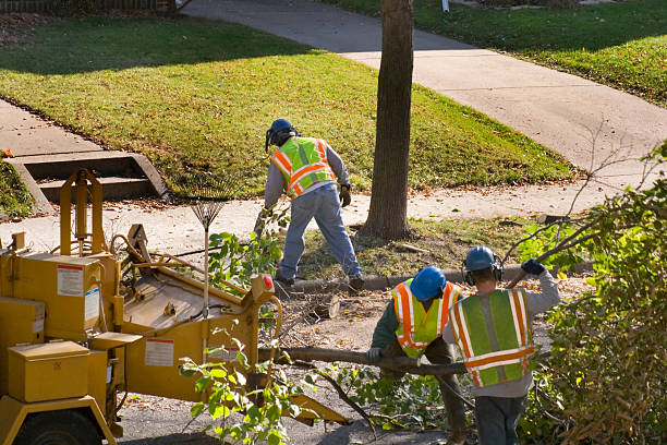 Best Aeration Services  in Ashton Sandy Spring, MD